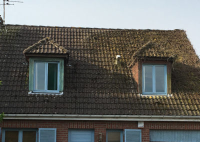 Nettoyage toiture à Lyon. Travail soigné et garanti 10 ans